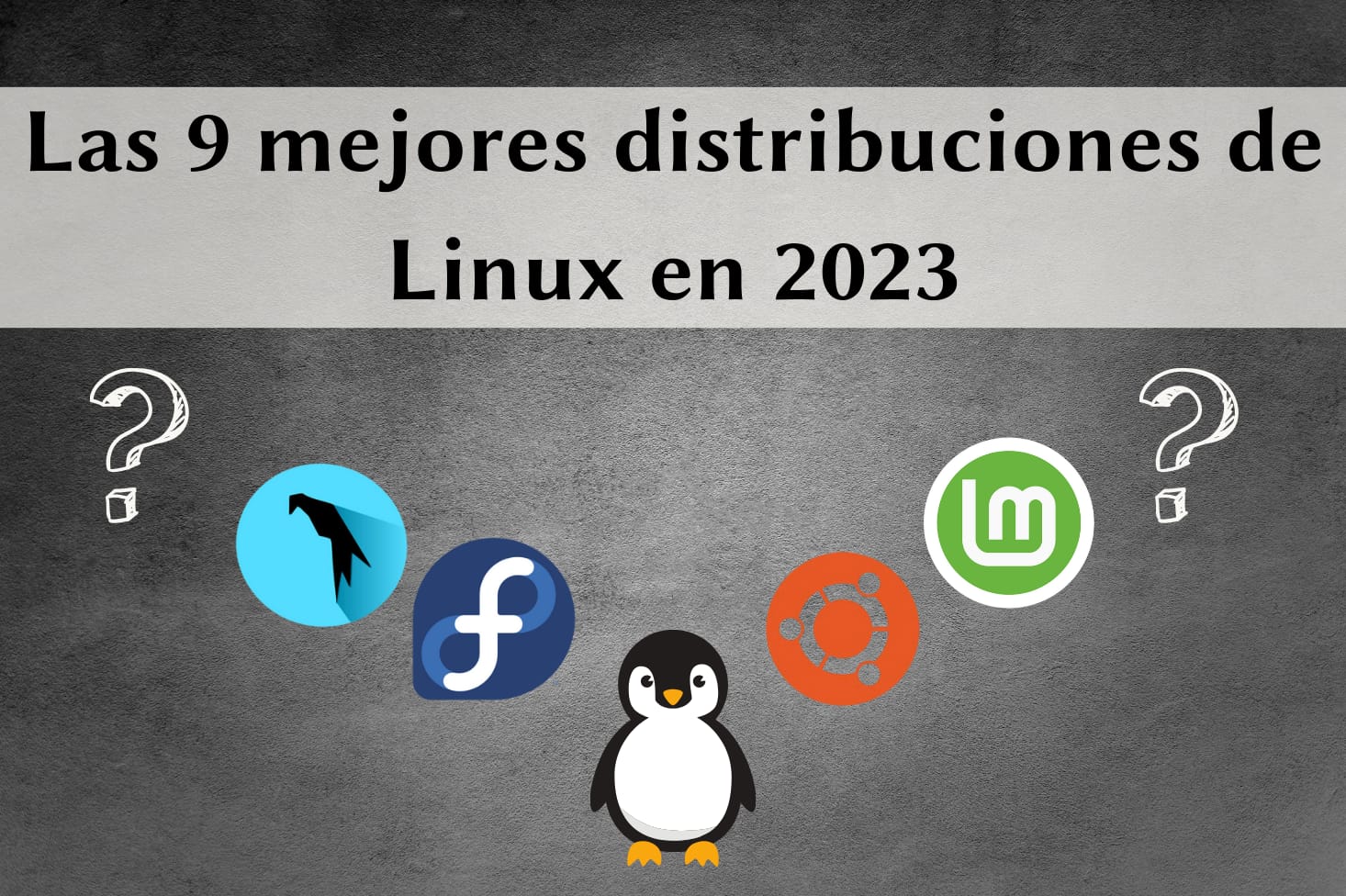 Las 9 Mejores Distribuciones De Linux 2023 Ricardev 7662